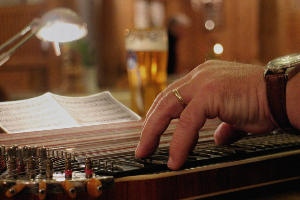 Zither Musik Solist